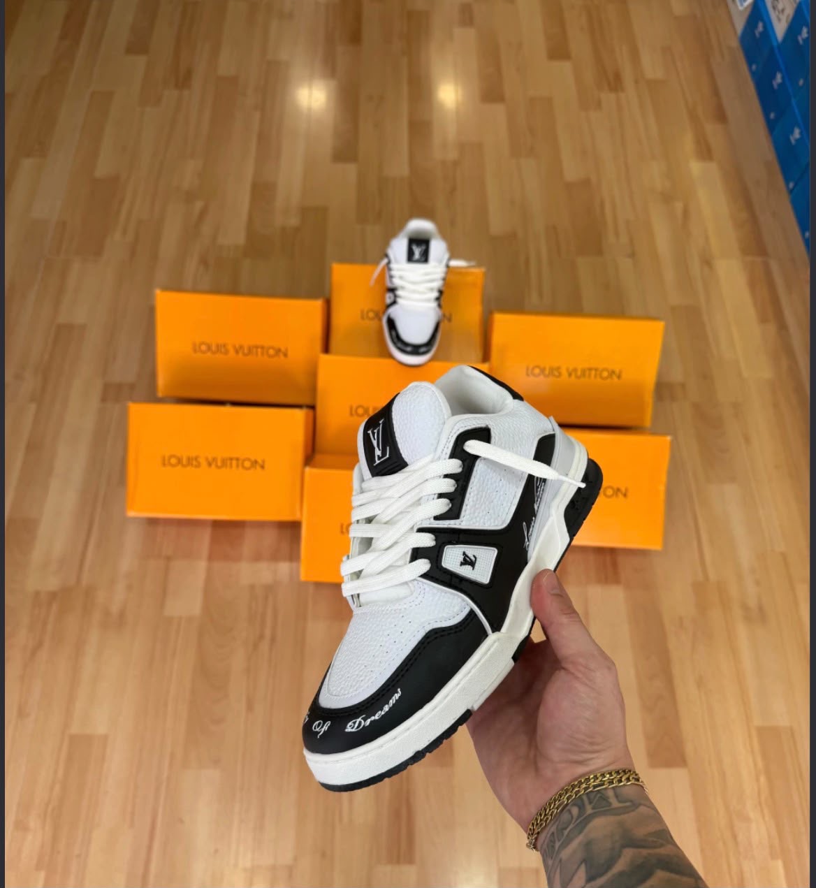 LV trainer